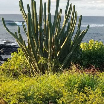 Poipu Beach - Beaches Near Me - Koloa, Hawaii Poipu Beach - Beaches Near Me - Koloa, Hawaii