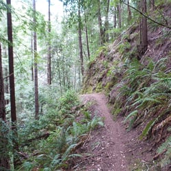 King Ridge Adventures