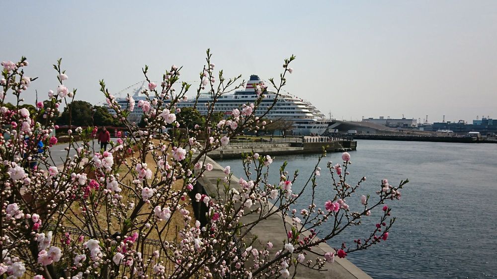 Yokohama Unga Park