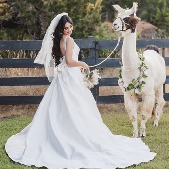 Lantern Florist - Florists Near Me