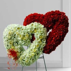 Bryan's Flowers