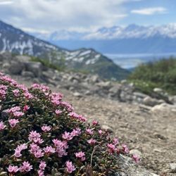 Lazy Mountain Trail Head
