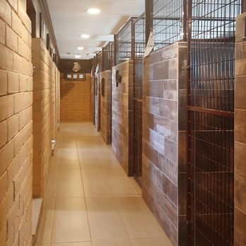 Kingsmark Kennels - Pet Groomers Near Me - Flagstaff, Arizona Kingsmark Kennels - Pet Groomers Near Me - Flagstaff, Arizona