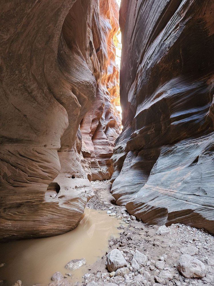 Paria Canyon-Vermilion Cliffs Wilderness Logo