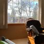 Photo of Sunlight Solutions