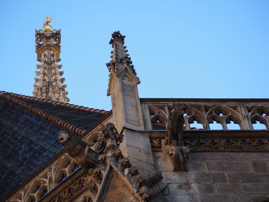 St. Stephen's Cathedral by null