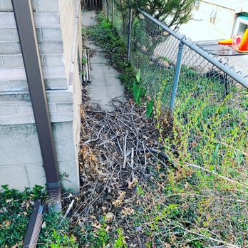 Mile High JunkBusters - Brush - Junk Removal & Hauling Near Me Mile High JunkBusters - Brush - Junk Removal & Hauling Near Me