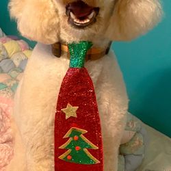 Snazzy Snouts Dog Grooming