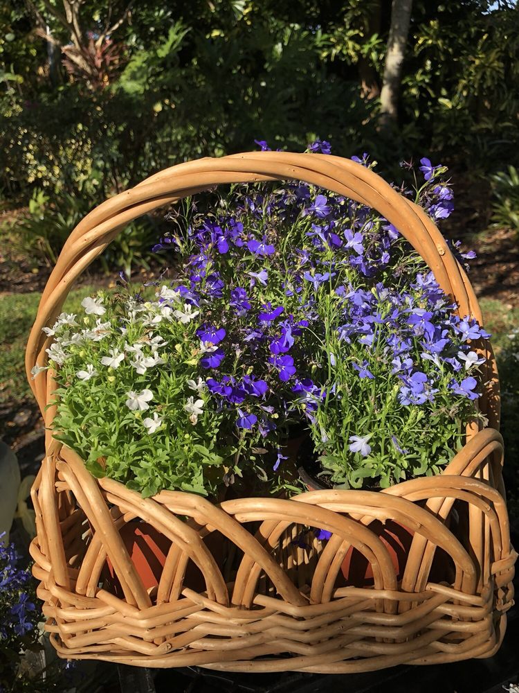 BOCA RATON GARDEN CLUB Updated October 2024 15 Photos 4281 NW 3rd