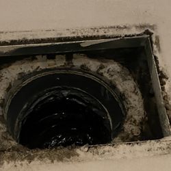 Windsor Lantana Hills - MOLD