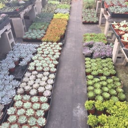 Beautiful arrangement of succulents, cacti and SO MUCH COLOR! Jay is so very nice and welcoming. Beautiful arrangement of succulents, cacti and SO MUCH COLOR! Jay is so very nice and welcoming.