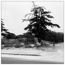 Wilson Canyon Park - Welcome to WIlson Canyon Park. #bnwphoto #weekender