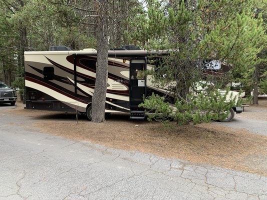 Grant Village Campground by null