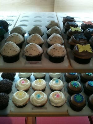 Buttercream Cupcakes & Coffee by null