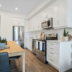Mohawk Painting - Cabinet painting