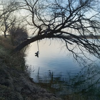 Robinson Park - Tree over hanging the Llano river. - Parks Near Me - Llano, Texas