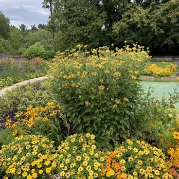 Cranbrook House & Gardens - Community Service/Non-Profit Near Me - Bloomfield Hills, Michigan Cranbrook House & Gardens - Community Service/Non-Profit Near Me - Bloomfield Hills, Michigan