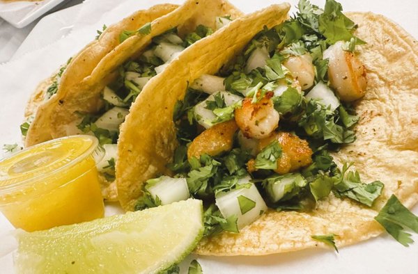 Brazilian Bowl by null