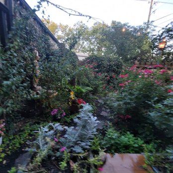 Mama Carolla's - Garden - Italian Near Me - Indianapolis, Indiana Mama Carolla's - Garden - Italian Near Me - Indianapolis, Indiana