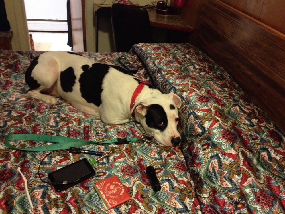 CORRAL MOTEL Updated August 2024 1307 Hwy 12 E, Harlowton, Montana