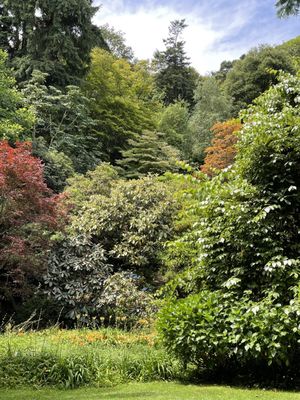 Trebah Garden by null