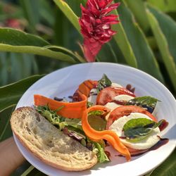 Island Fresh Café - Italian appetizers