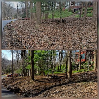 MediScape - Lawn Services Near Me - East Rochester, New York