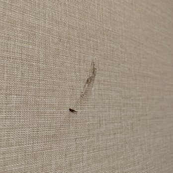 Humphreys Half Moon Inn - Don't know what this was one the wall and don't want to find out. - San Diego, CA