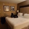 Crowne Plaza Boston - Woburn gift card