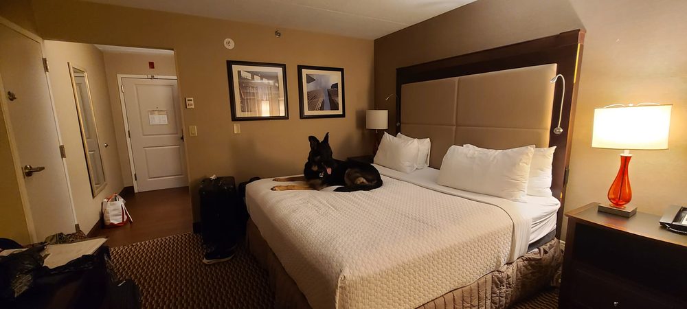 Crowne Plaza Boston - Woburn