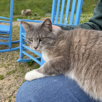 BLACKBERRY FARM - Updated March 2026 - 378 Photos & 87 Reviews - 1471 W ...