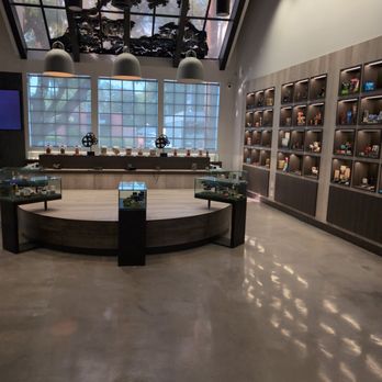 The Set - Cannabis Dispensaries Near Me - Los Angeles, California
