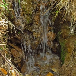 Webberville Park