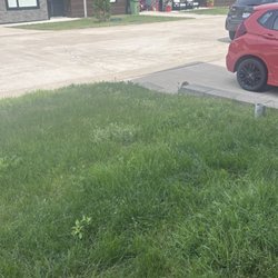 Shiraz Gardens - Yard not mowed as promised