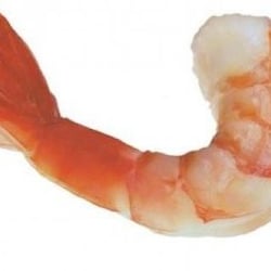 J & J Seafood - J&J Seafood Ocala Shrimp Picture