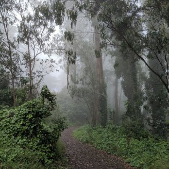 Mount Davidson Park - Parks Near Me - San Francisco, California