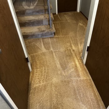 Kingdom Carpet Cleaning - Carpet Cleaning Near Me - Hayward, California Kingdom Carpet Cleaning - Carpet Cleaning Near Me - Hayward, California
