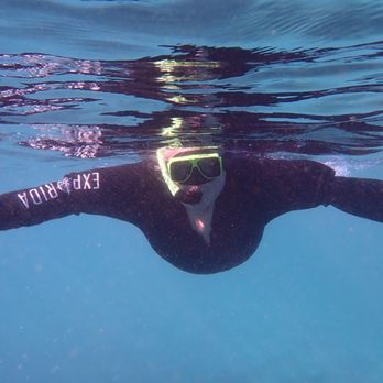 Explorida - Snorkeling Near Me - Crystal River, Florida Explorida - Snorkeling Near Me - Crystal River, Florida