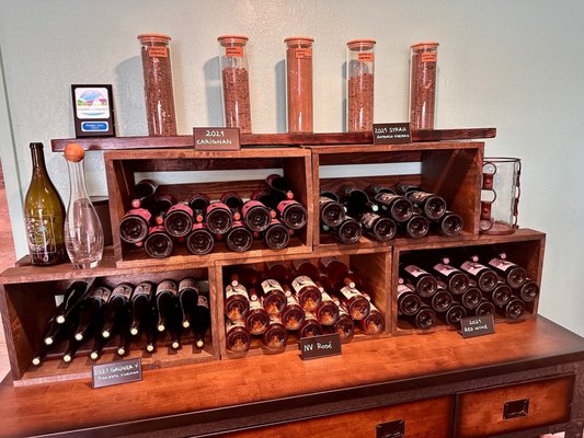 Camins 2 Dreams by null