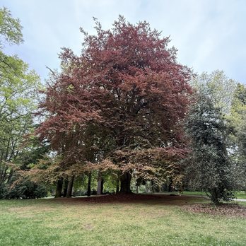 Volunteer Park - Parks Near Me - Seattle, Washington