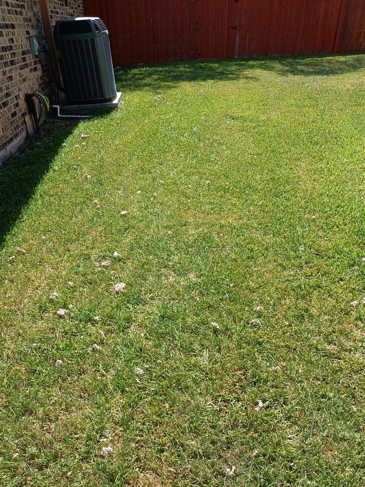 Patriot Dryer Vent Cleaning - veterans service organization in San Antonio, TX