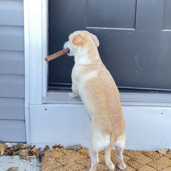 Pet Wants Cincy - Butters loving his cigar - Pet Stores Near Me - Cincinnati, Ohio