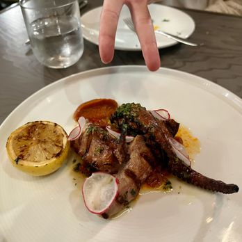 Cino - Charred Spanish octopus - Italian Near Me - Honolulu, Hawaii Cino - Charred Spanish octopus - Italian Near Me - Honolulu, Hawaii
