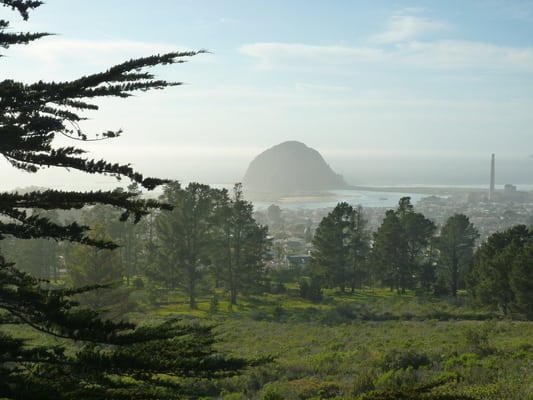 Morro Bay State Park by null
