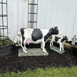 D Dutchmen Dairy