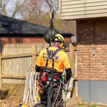 Eager Beaver Tree Service - Tree Services Near Me - Floyds Knobs, Indiana