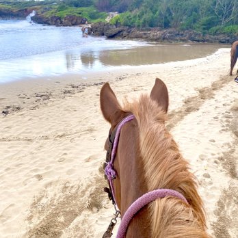 CJM Stables - Beach riding - Horseback Riding Near Me