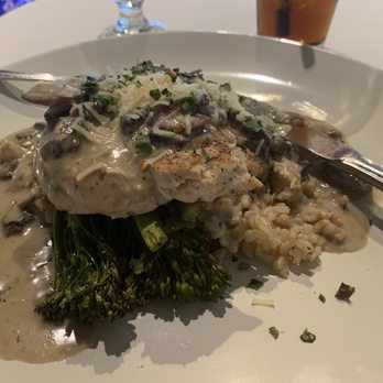 The Hive - Hearty Chicken Parmesan - Desserts Near Me - Orland, California The Hive - Hearty Chicken Parmesan - Desserts Near Me - Orland, California