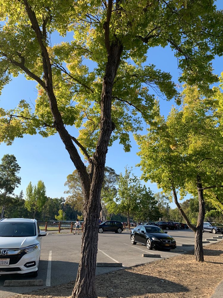 VASONA PARK 1025 Photos & 406 Reviews Parks 333 Blossom Hill Rd