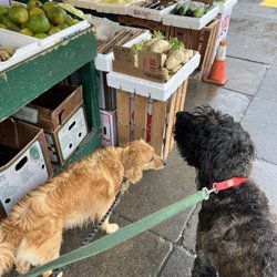 JW & L Market